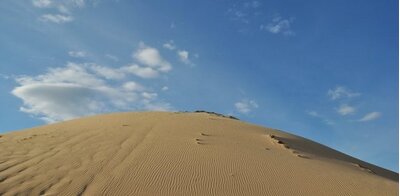 Đồi cát Phương Mai – “Sahara” rộng lớn tại Quy Nhơn.