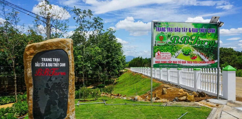 Cao Nguyên Vân Hòa - Đà Lạt thu nhỏ ngay tại Phú Yên