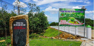 Cao Nguyên Vân Hòa - Đà Lạt thu nhỏ ngay tại Phú Yên