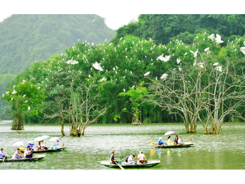 Tour Cồn Chim Quy Nhơn 1 Ngày: Đảo Ngọc Sinh Thái - MQN24 5