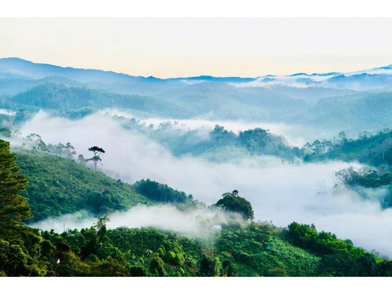 Tour Măng Đen 2 Ngày 1 Đêm - Tham Quan Tây Nguyên Đại Ngàn-MQNTN01 5