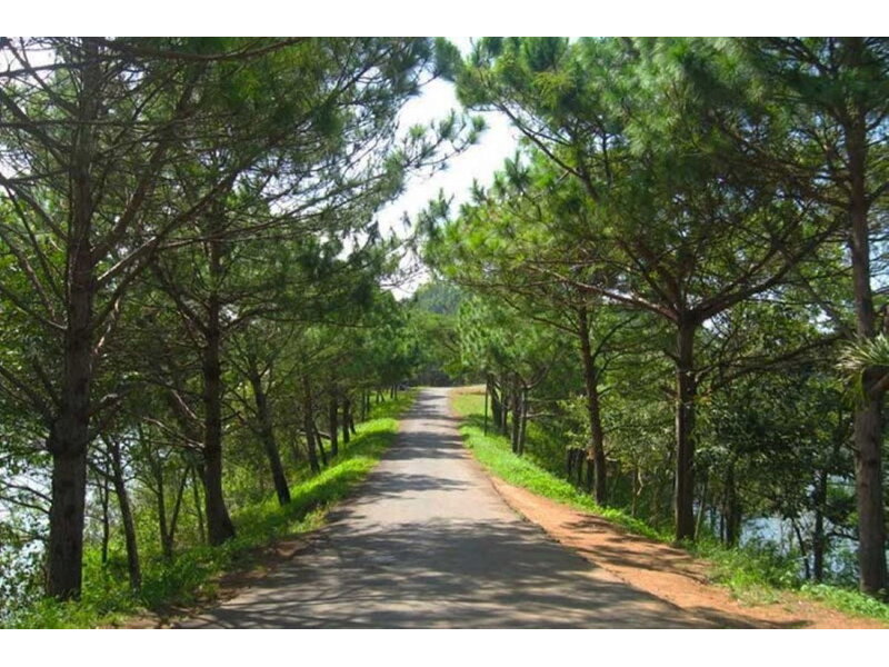 Tour Măng Đen - Buôn Ma Thuột 3 Ngày 2 Ngày: Thủ Phủ CaFe - MQNTN02 6