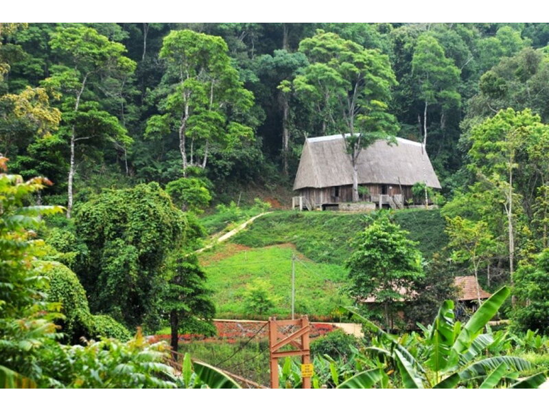 Tour Măng Đen - Gia Lai - Buôn Ma Thuột 4 Ngày 3 Đêm - MQNTN03 11