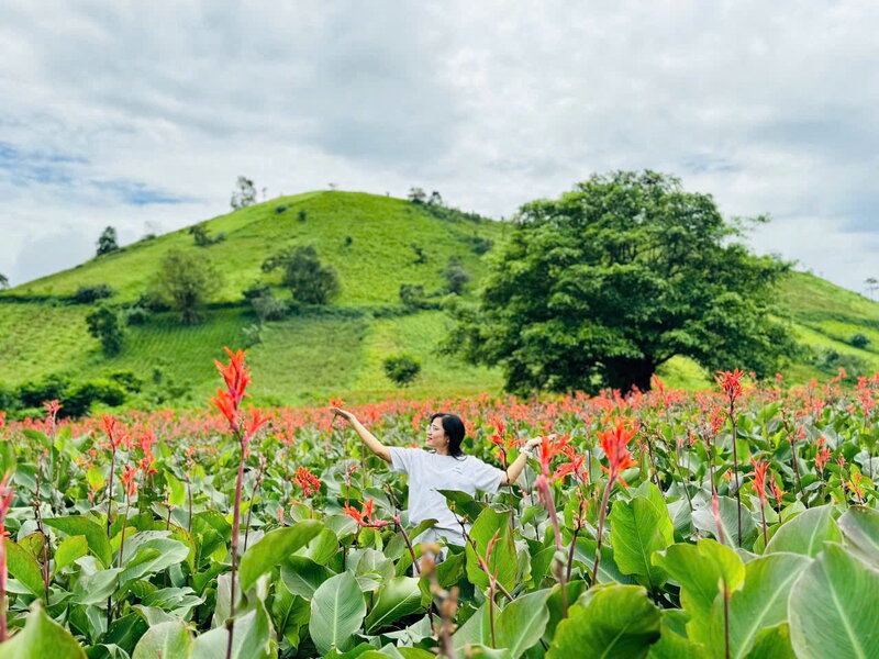 Tour Gia Lai - Quy Nhơn - Phú Yên 5 Ngày 4 Đêm (MGQP01) 10